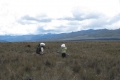 28-nov-2010-porters-crossing-floodplain