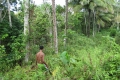 indonesia_0990