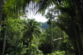 indonesia_0991