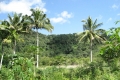 indonesia_0996