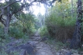 alor-to-flores-052