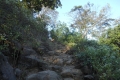 alor-to-flores-054
