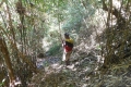 alor-to-flores-075