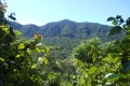 alor-to-flores-076
