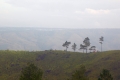 DSCN1404