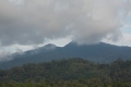 DSCN9247