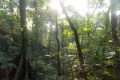 DSCN0182