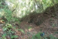 DSCN0185