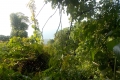 DSCN0187