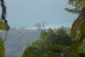 DSCN0191