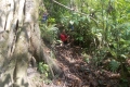 DSCN0195
