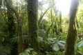 DSCN0199