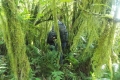 DSCN0201