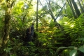 DSCN0203