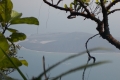 DSCN0229