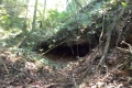 DSCN0242