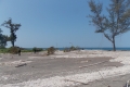 DSCN0244