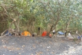 DSCN3231