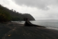 DSCN3386