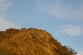 east timor 629
