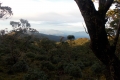 east timor 674