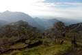 east timor 734