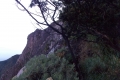 DSCN4148