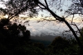 DSCN4156