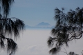 DSCN1647