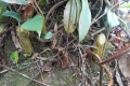DSCN9426