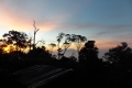DSCN9526