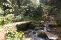 DSCN9683