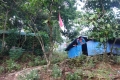 DSC04414