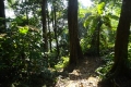 DSC04427