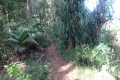 DSC04430