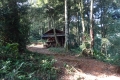 DSC04436