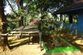 DSC04445