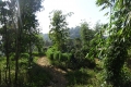 DSC04448