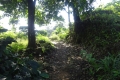 DSC04452