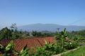 DSC04526