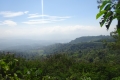 DSC04535