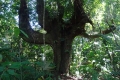 DSC04552