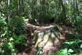 DSC04555