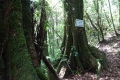 DSC04568