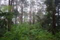 DSC04630
