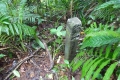 DSC04661