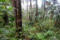 DSC04663