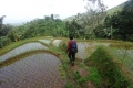 DSC04667