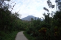 DSC04731