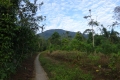 DSC04733